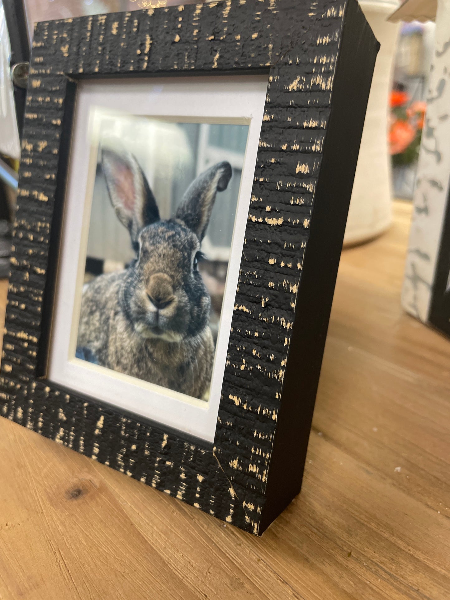 Bunny in Black Frame