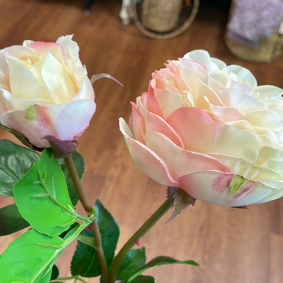 Peach Rose Stem