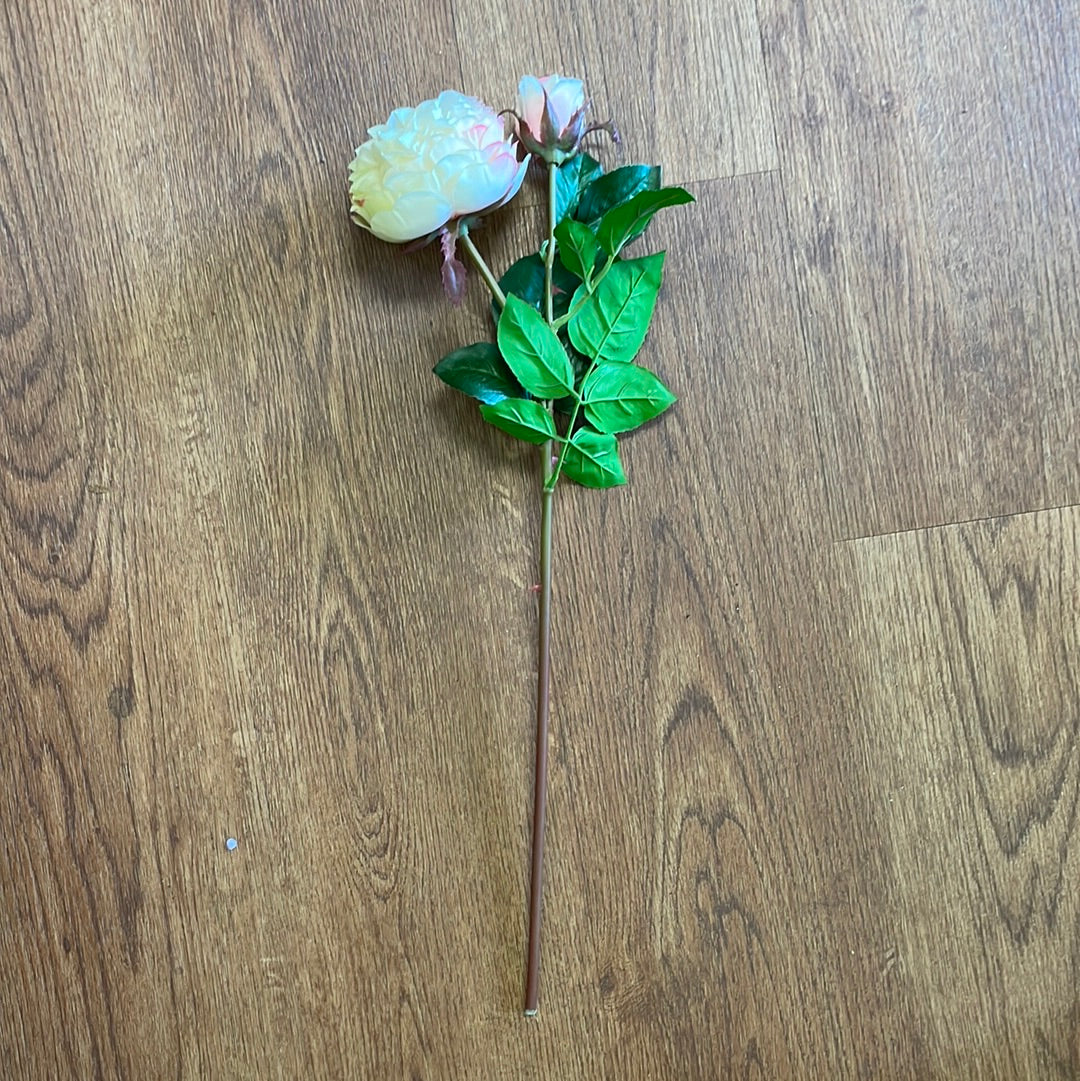 Peach Rose Stem