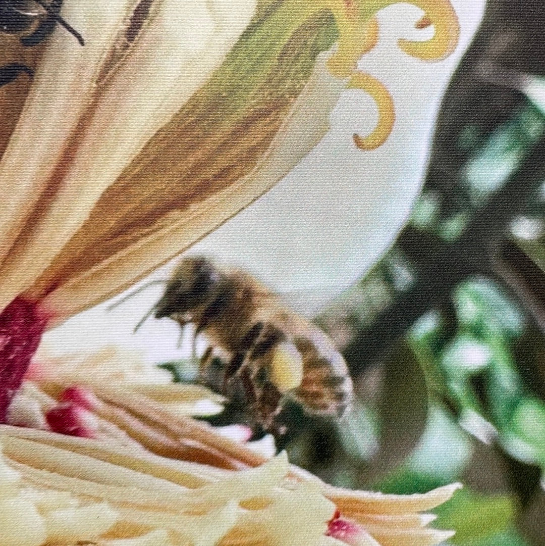 Bee in Magnolia - 2