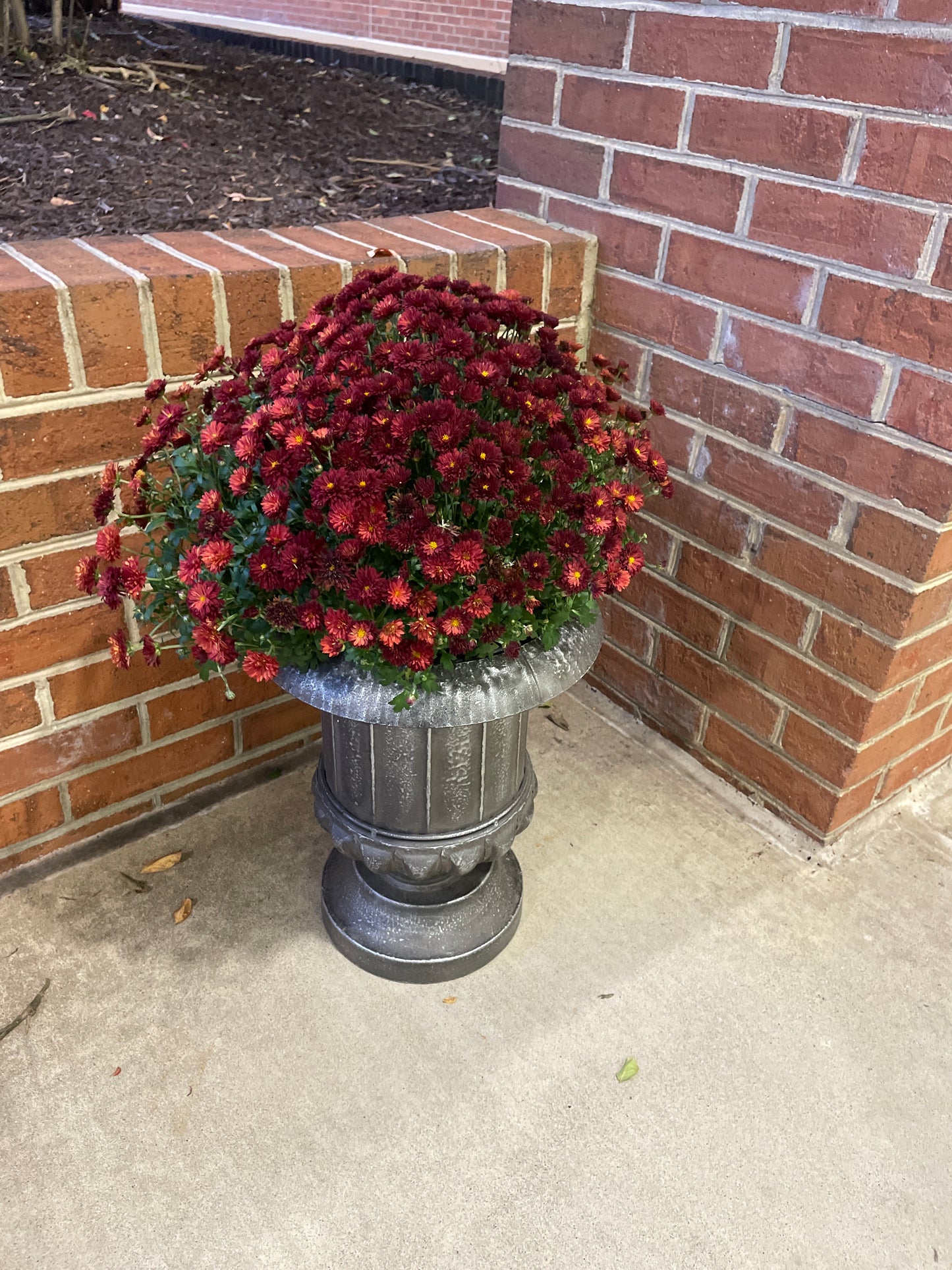 Metal Urn Planter - MD