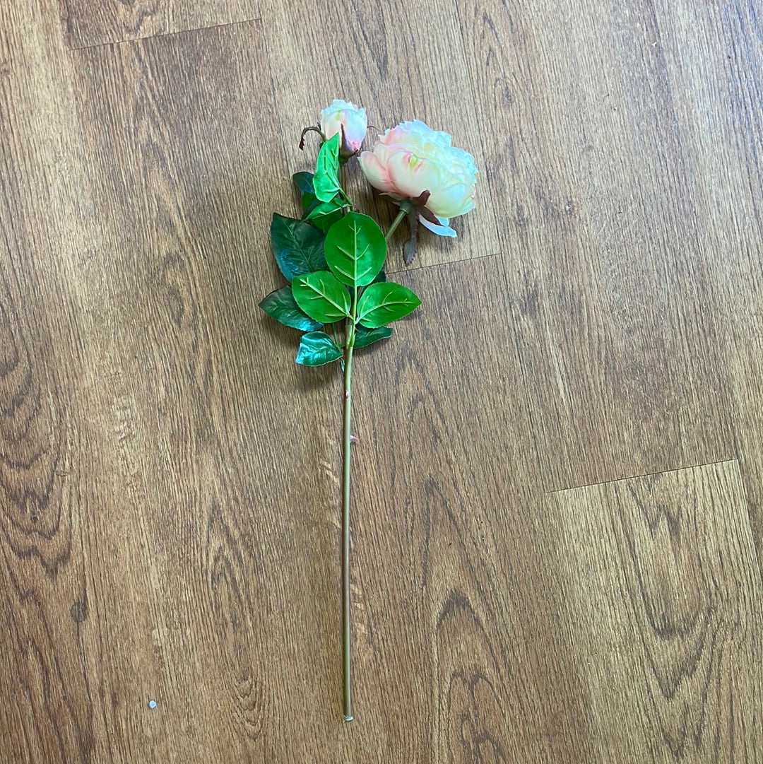 Peach Rose Stem