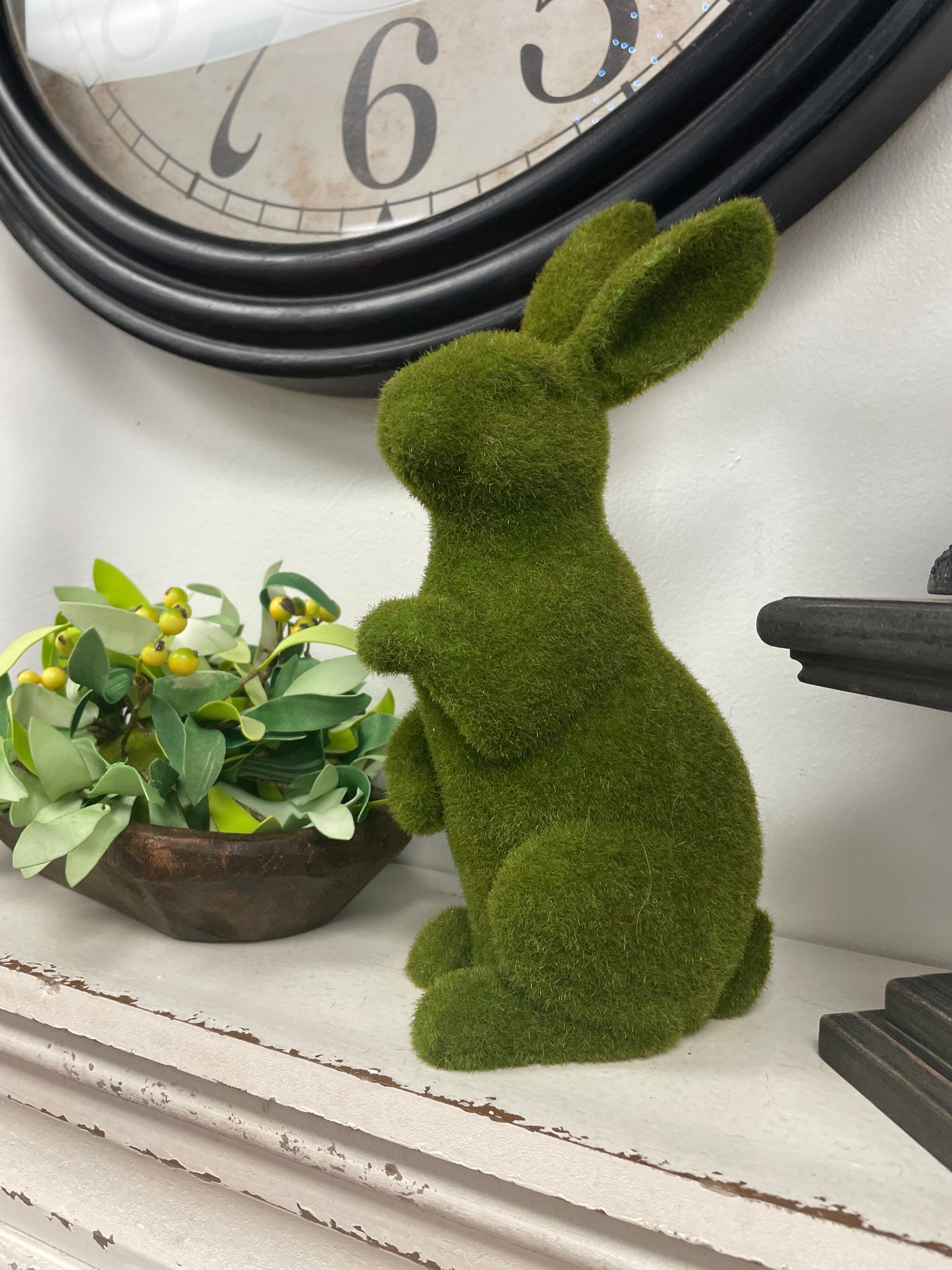 Green Bunny LG