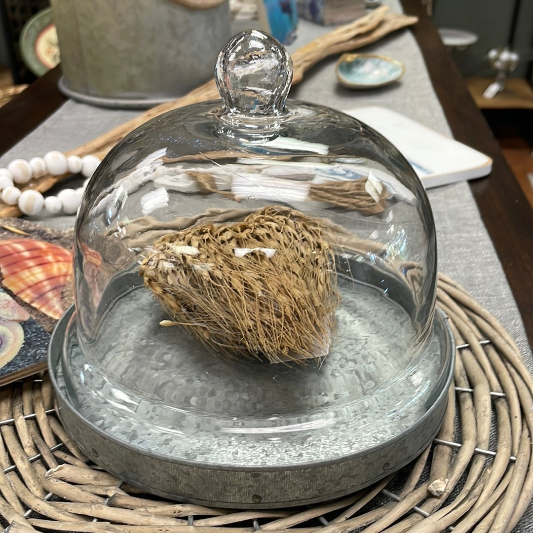 Med Glass Cloche with Base