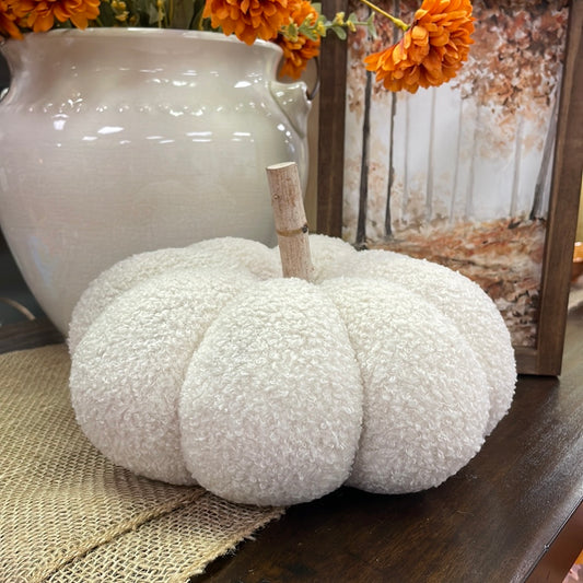 Cozy White Pumpkin with Birch Stem