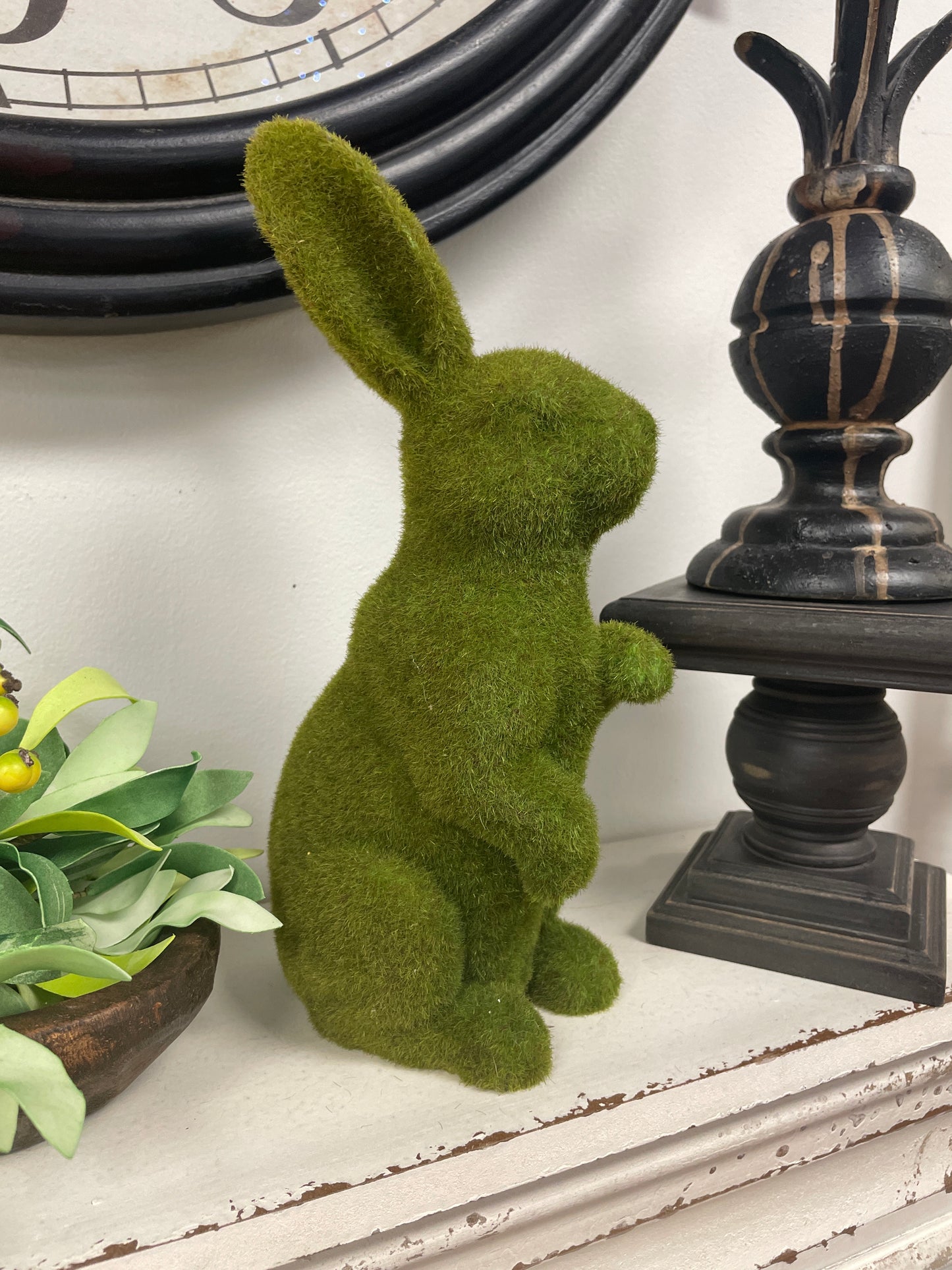 Green Bunny LG