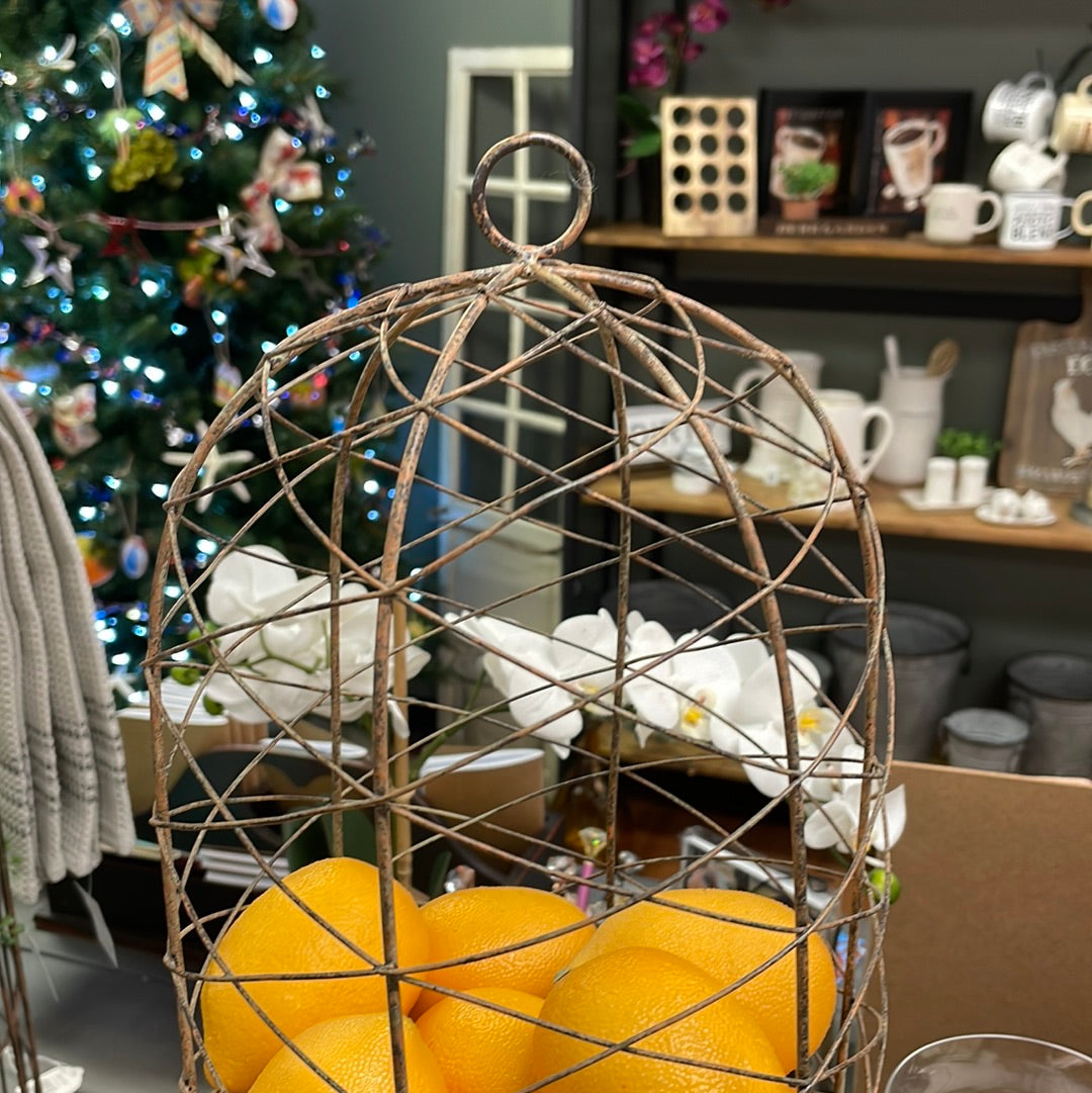 Metal Wire Cloche w/base (W/lemons)