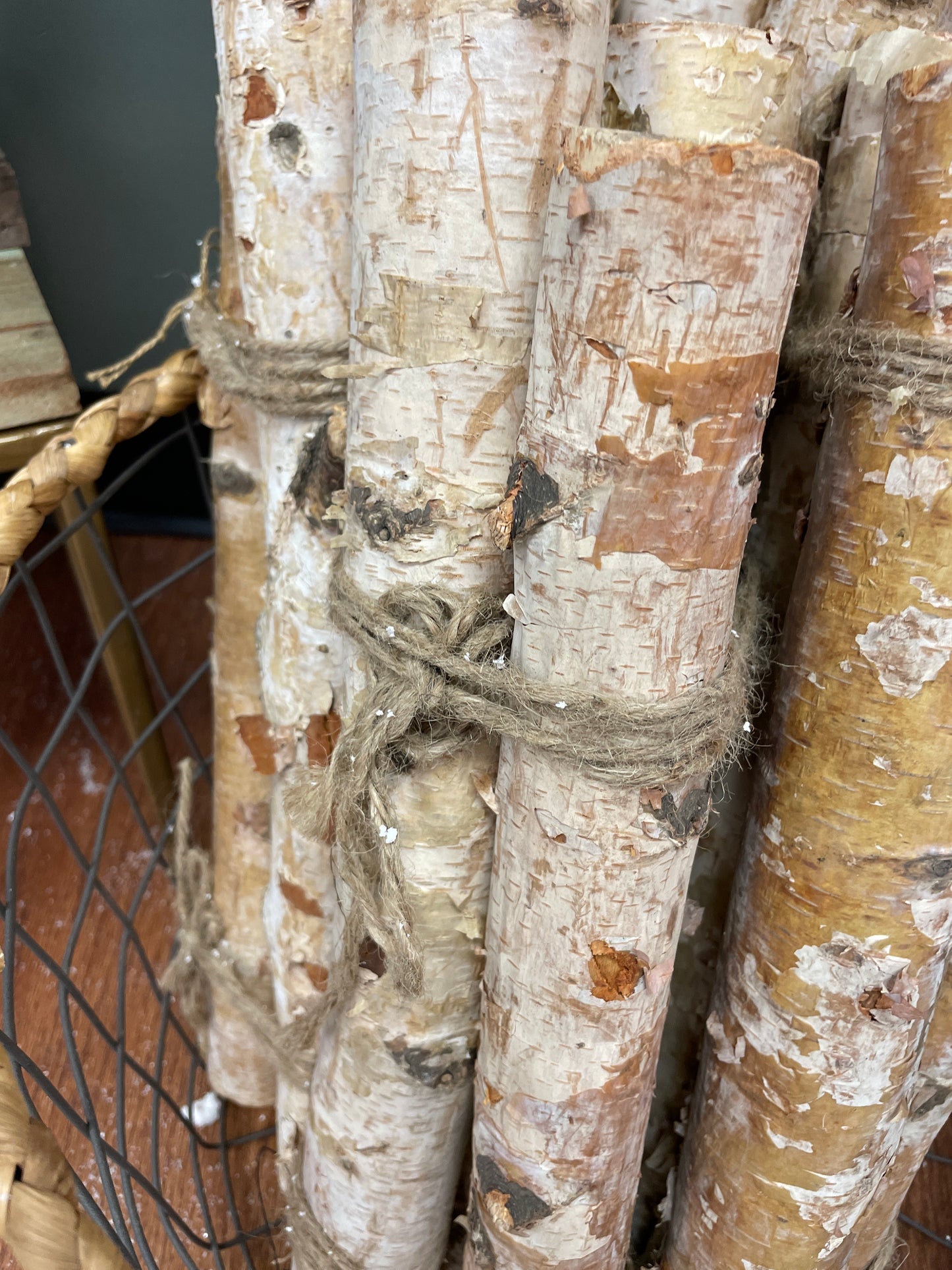 Birch Sticks Bundle