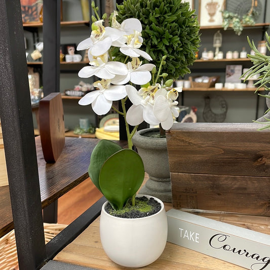 Real Touch Orchid Sm White Pot