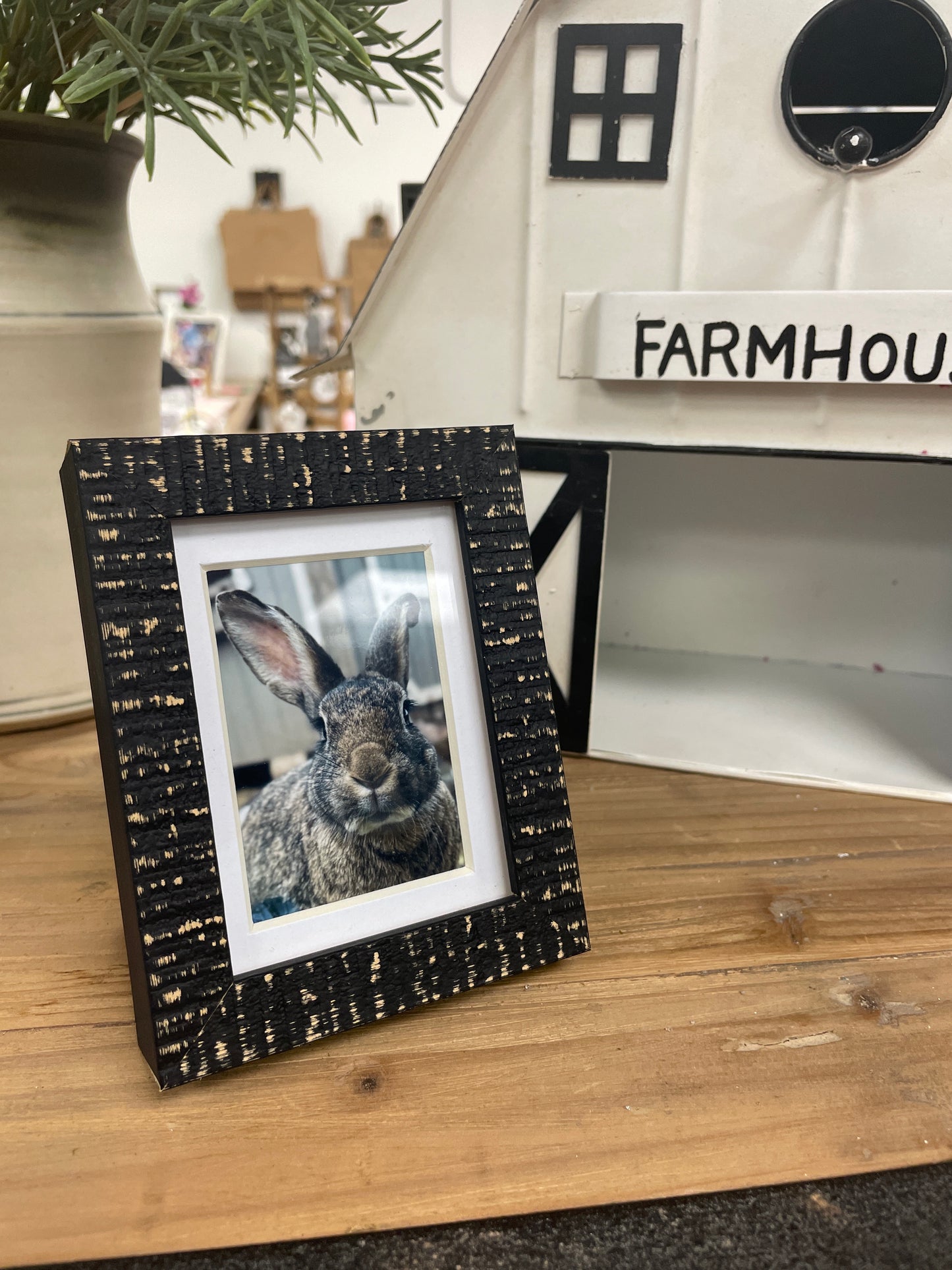 Bunny in Black Frame