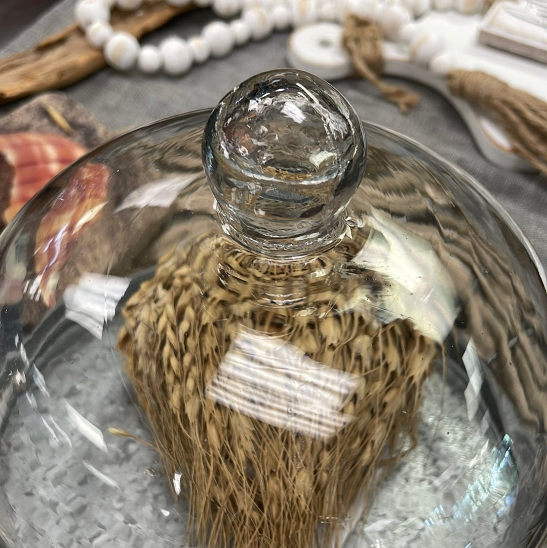 Med Glass Cloche with Base