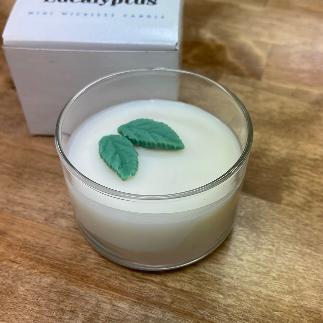 White Eucalyptus Jar