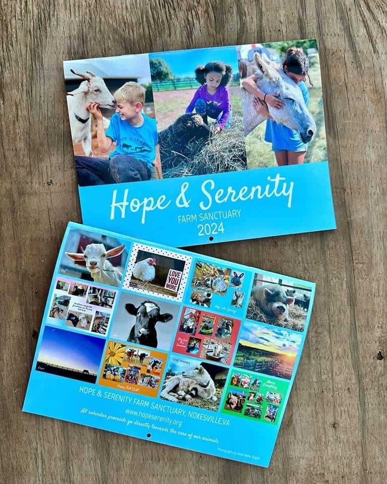 Hope And Serenity Farm 2024 Calendar Burlap And Daisies   IMG 1351 